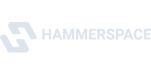 Hammerspace