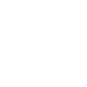 Umzug ins Rechenzentrum Icon